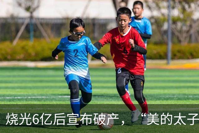 烧光6亿后宣布破产，“美的太子”在机器人上栽了个跟头